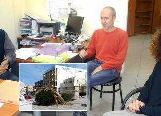 Σε έξαρση το κόκκινο σκαθάρι που ρημάζει τους φοίνικες στη Σύρο