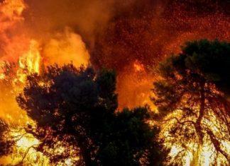 Γενί Ακίτ: Πέθαναν άνθρωποι λόγω εχθρότητας Ελλάδας για Τουρκία