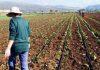«Στη Νάξο με τον μικρό κλήρο δηλώνουν τεράστιες ενιαίες εκτάσεις, το… πάρτι συνεχίζεται!»