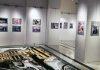 Φωτογραφίες γεμάτες χρώμα και αισιοδοξία: 8η Ομαδική Έκθεση Λέσχης Φωτογραφίας και Κινηματογράφου Σύρου
