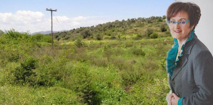 theologitou livadia mast