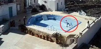 Φολέγανδρος: Μαθητής δημοτικού κλωτσάει τυφλή γάτα μέχρι θανάτου- Δικογραφία και πρόστιμο 30.000 ευρώ στους γονείς (Video)