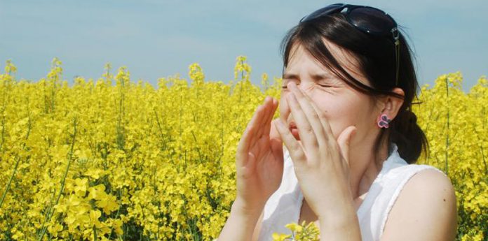 gyri allergies mast
