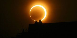 NASA: 4+1 λόγοι για να κοιτάξεις τον ουρανό τον Νοέμβριο