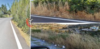 Προβληματισμένες οι Κοινότητες από τον μη καθαρισμό της παρόδιας βλάστησης στο επαρχιακό οδικό δίκτυο: “Να αναλάβει τις ευθύνες της η ΠNAI”