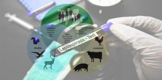 Ζωονόσοι – γράφει η Αλκμήνη Ψιλοπούλου