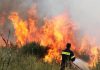 Σε εξέλιξη φωτιά σε δασική περιοχή του Ταξιάρχη Χαλκιδικής