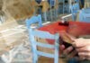 ΦΠΑ: Τη μείωση των έμμεσων φόρων σε τρόφιμα και εστίαση ζητούν οι επιχειρηματίες