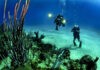 Αμοργός: Ημερίδα για τον καταδυτικό τουρισμό (VIDEO)