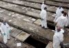 Βραζιλία: Αδειάζουν παλιούς τάφους για να χωρέσουν τους νεκρούς
