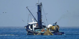 Μηχανότρατες: Πότε απαγορεύονται – Οι νομοθετικές ρυθμίσεις