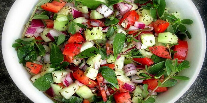 salata mast