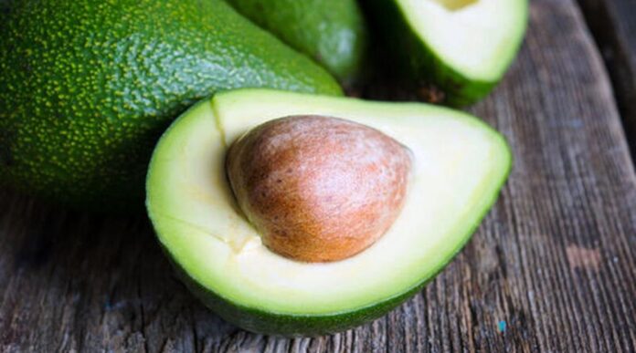 avocado01
