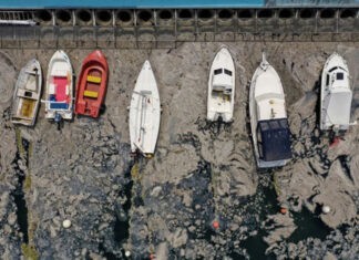 Απίστευτες εικόνες από τη βλέννα στη Θάλασσα του Μαρμαρά