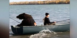Αρκούδα πάει για…ψάρεμα και γίνεται viral (Video)
