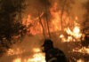 Δεν έχει τέλος ο εφιάλτης στη Β.Εύβοια: Δραματικές ώρες για το Πευκί
