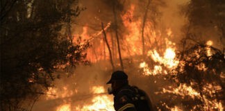 Εισαγγελική έρευνα για οργανωμένη εγκληματική δραστηριότητα πίσω από τις πυρκαγιές