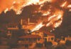 Φωτιές: Έκθεση προέβλεπε την καταστροφή – Γιατί κρύφτηκε στα συρτάρια