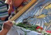 Εμφανίστηκαν και φέτος τα θαυματουργά φιδάκια της Παναγίας στην Κεφαλονιά