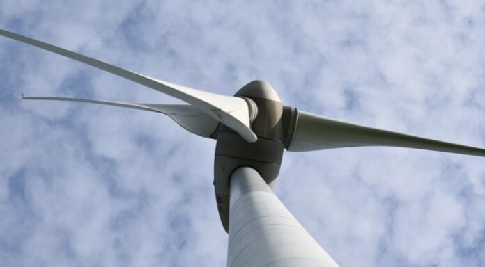 wind_anemogennitria01