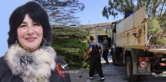 Ανθούλα Ξενάκη (πρόεδρος κοινότητας Χρούσσων): «Έχουμε το χωριό σε καλή κατάσταση»