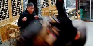 Απίστευτο: Έπινε το ποτό του αμέριμνος σε εστιατόριο και του επιτέθηκε βουβάλι (VIDEO)