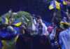 Επίθεση Ρώσων χάκερ στο επίσημο σάιτ της Eurovision