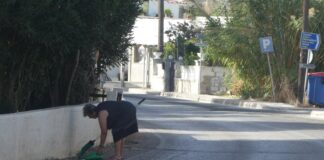 Είδος προς εξαφάνιση