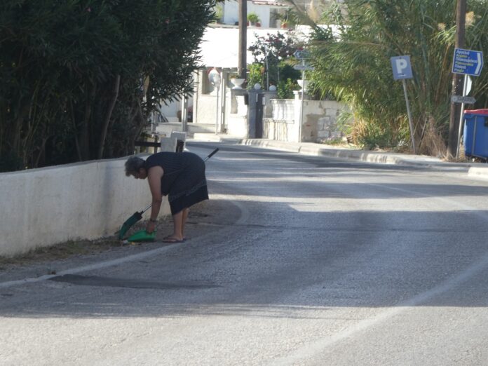 ΕΙΔΟΣ ΠΡΟΣ ΕΞΑΦΑΝΙΣΗ