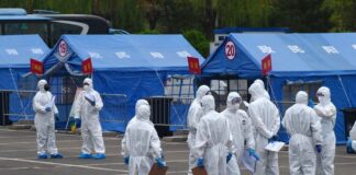 Κορονοϊός: Μολυσμένος σκύλος-ρακούν «ξεκίνησε» την πανδημία στην Ουχάν;