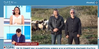 Δ. Καπούνης στο Open: «Δεν είναι βιομηχανία οι κτηνοτρόφοι, πρέπει να πάρουν την τιμή τους!»