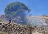 Live + photos από την επιχείρηση της Πυροσβεστικής στην Άνω Σύρο