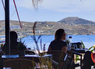 Ο κύριος Δημητράκης και οι παχιές μύγες – Η εύθυμη νότα της μέρας
