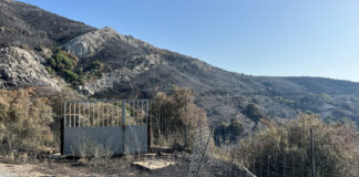 Οριοθετήθηκε η πυρκαγιά στην ορεινή Νάξο – Θλιβερές εικόνες από την καμένη γη που άφησε πίσω της