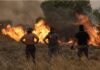 Πολύ υψηλός κίνδυνος πυρκαγιάς την Κυριακή 5-7-2026 στην Περιφέρεια Νοτίου Αιγαίου, Π.Ε Κυκλάδων