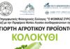 9η γιορτή αγροτικού προϊόντος στο Φοίνικα