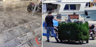 Γιατί δεν ακολουθούν το παράδειγμα;