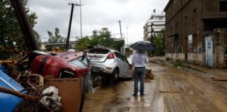 ΝΕΜΕΣΙΣ: Τα ζώα πεθαίνουν αράδα πάνω στις στέγες των σπιτιών.