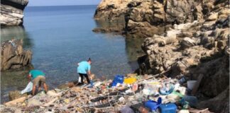 H οργάνωση All For Blue καθάρισε τον βυθό της Δήλου