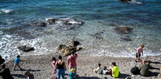 Φίδι τσίμπησε γυναίκα μέσα στη θάλασσα
