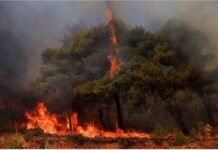 Υπενθύμιση της ΔΙΠΥΝ Κυκλάδων για την αντιπυρική περίοδο
