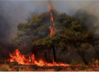 Οι δασικές πυρκαγιές επιδεινώνουν την ποιότητα του αέρα σε απόσταση χιλιάδων χιλιομέτρων