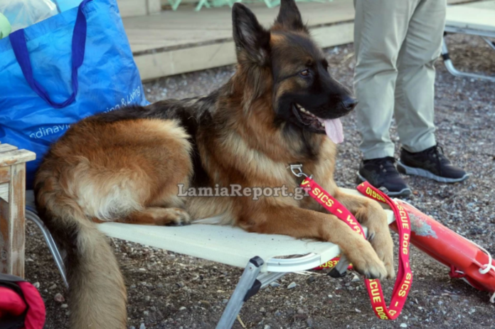 nala2