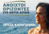 Χρύσας Καραγιάννη: Η σιωπή του περιφερειάρχη, απόδειξη υπαιτιότητας !