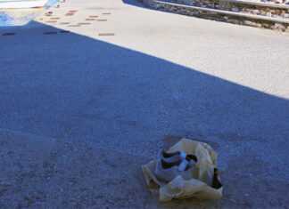 Δωρεάν… δωρεάν…