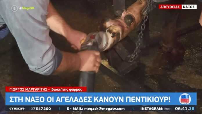 Καταγραφή