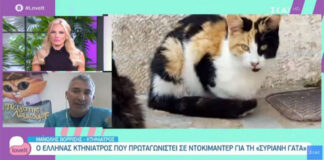 Με αγάπη οι αδέσποτες γατούλες