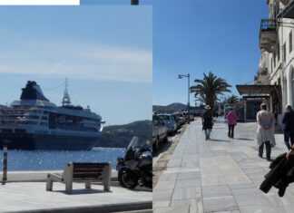 Τα πρώτα… χελιδόνια