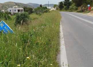 Άλλος ενδιαφέρθηκε