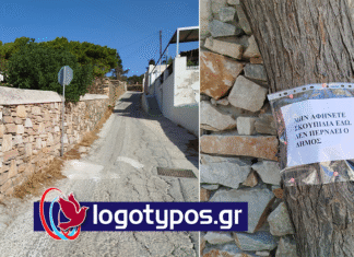 Ποιο είναι το σωστό;
